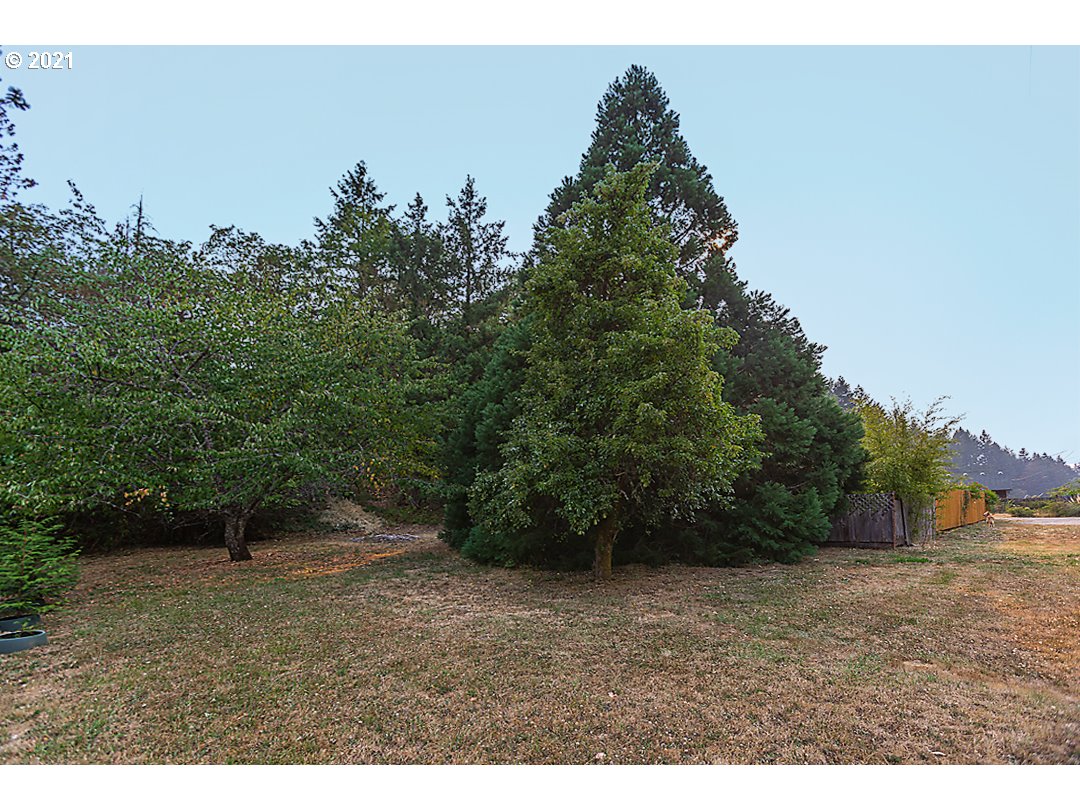 1856 Canyonville-Riddle Road Riddle, OR 97469 - Photo 21 of 27 a view of a yard