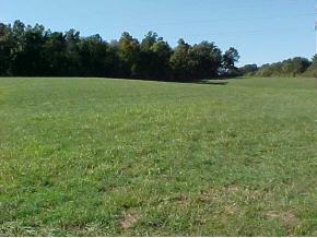 170 Bird Road Greeneville, TN 37743 - Photo 3 of 9 Photo 3
