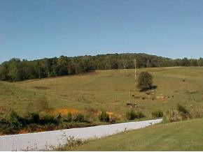 170 Bird Road Greeneville, TN 37743 - Photo 7 of 9 Photo 7