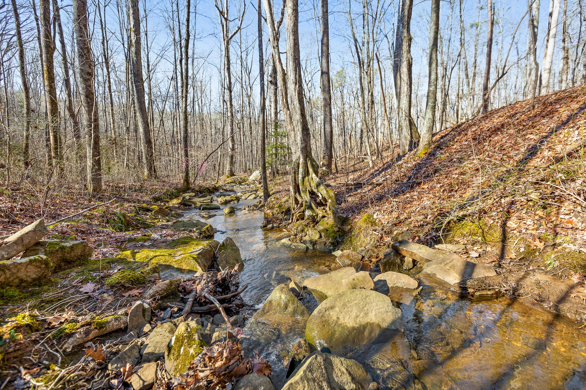 1824 Vandergriff Road Signal Mountain, TN 37377 - Photo 26 of 34 Gallery Image 26