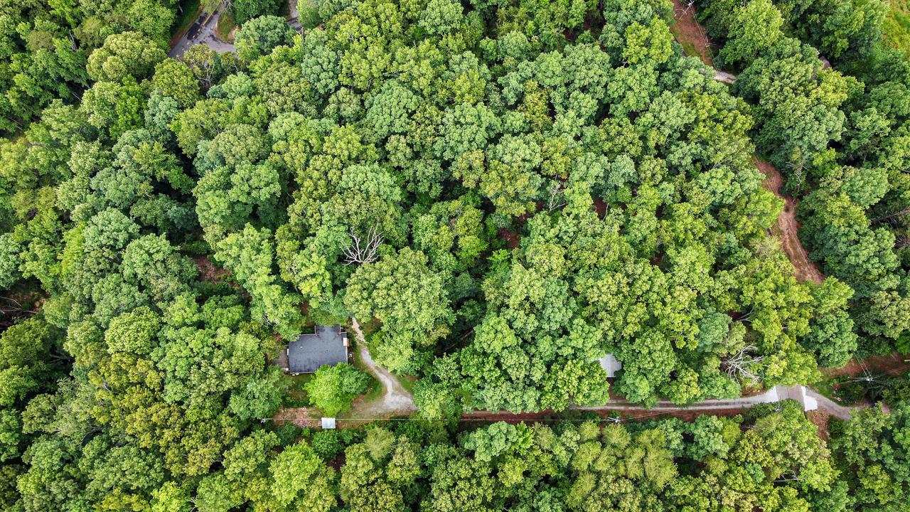 513 Goforth Road Landrum, SC 29356 - Photo 21 of 24 Gallery Image 21