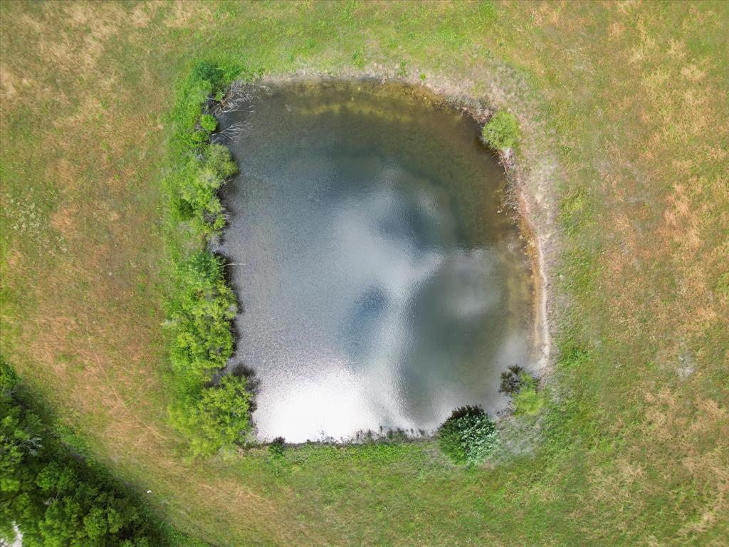 6482 County Road 1050 Celeste, TX 75423 - Photo 15 of 19 a view of a garden