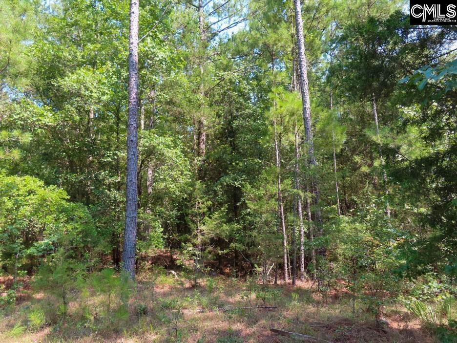 0 Landis Road Winnsboro, SC 29180 - Photo 21 of 83 Gallery Image 21