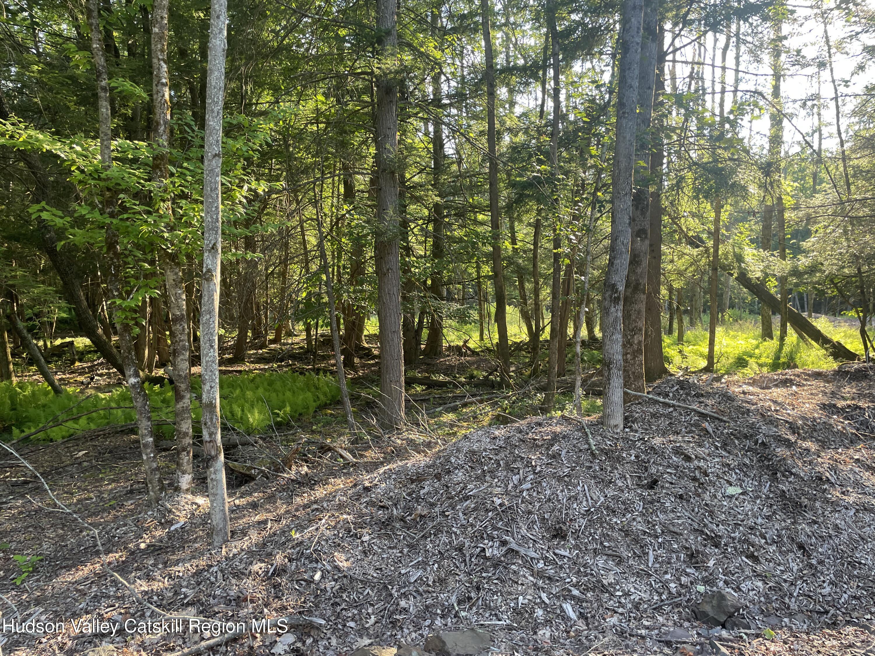 Tbd Boulder Brook Road Windham, NY 12496 - Photo 13 of 57 IMG_0661