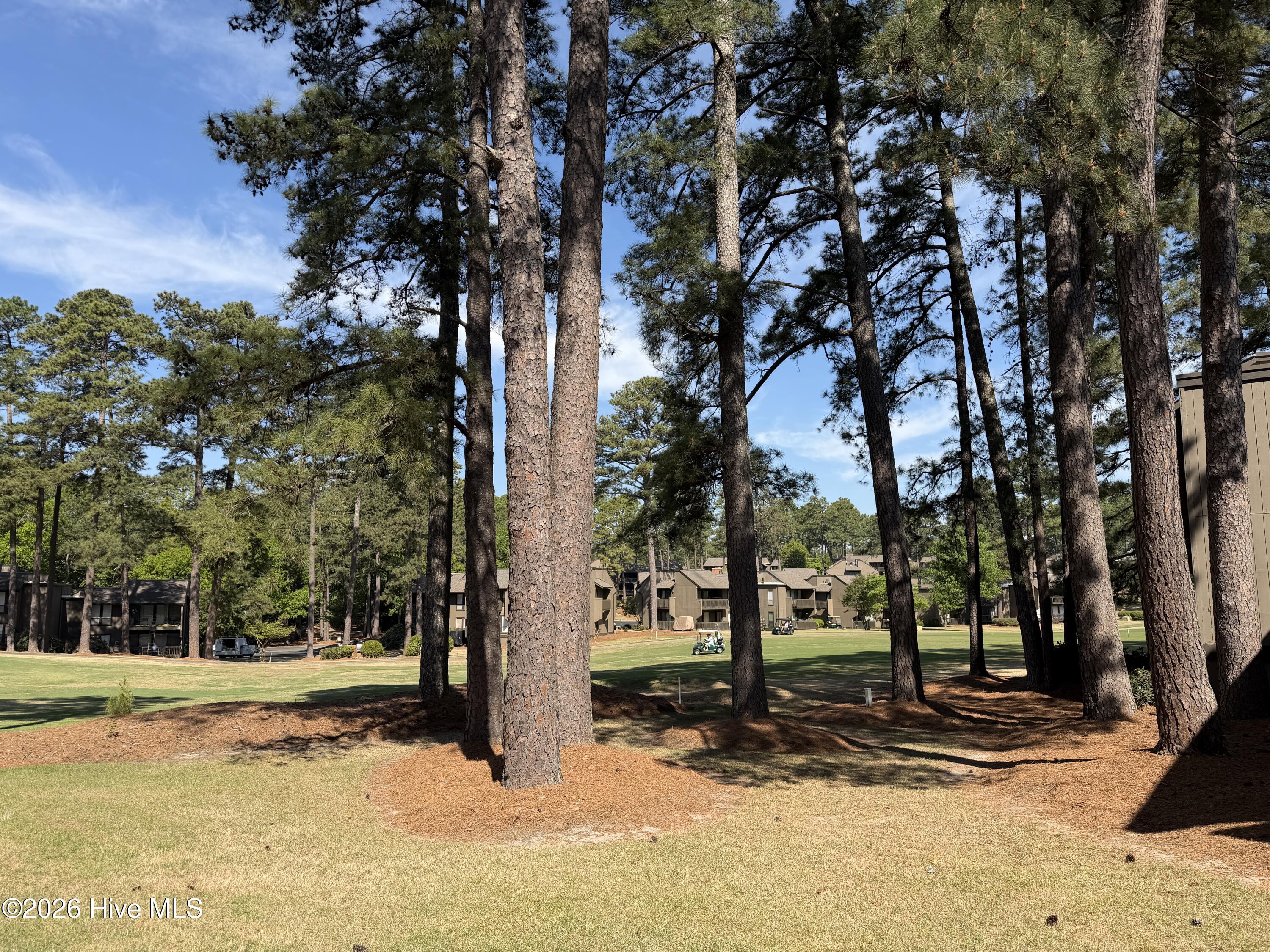 5 Pine Tree Road, Unit 119 Pinehurst, NC 28374 - Photo 24 of 26 IMG_2456