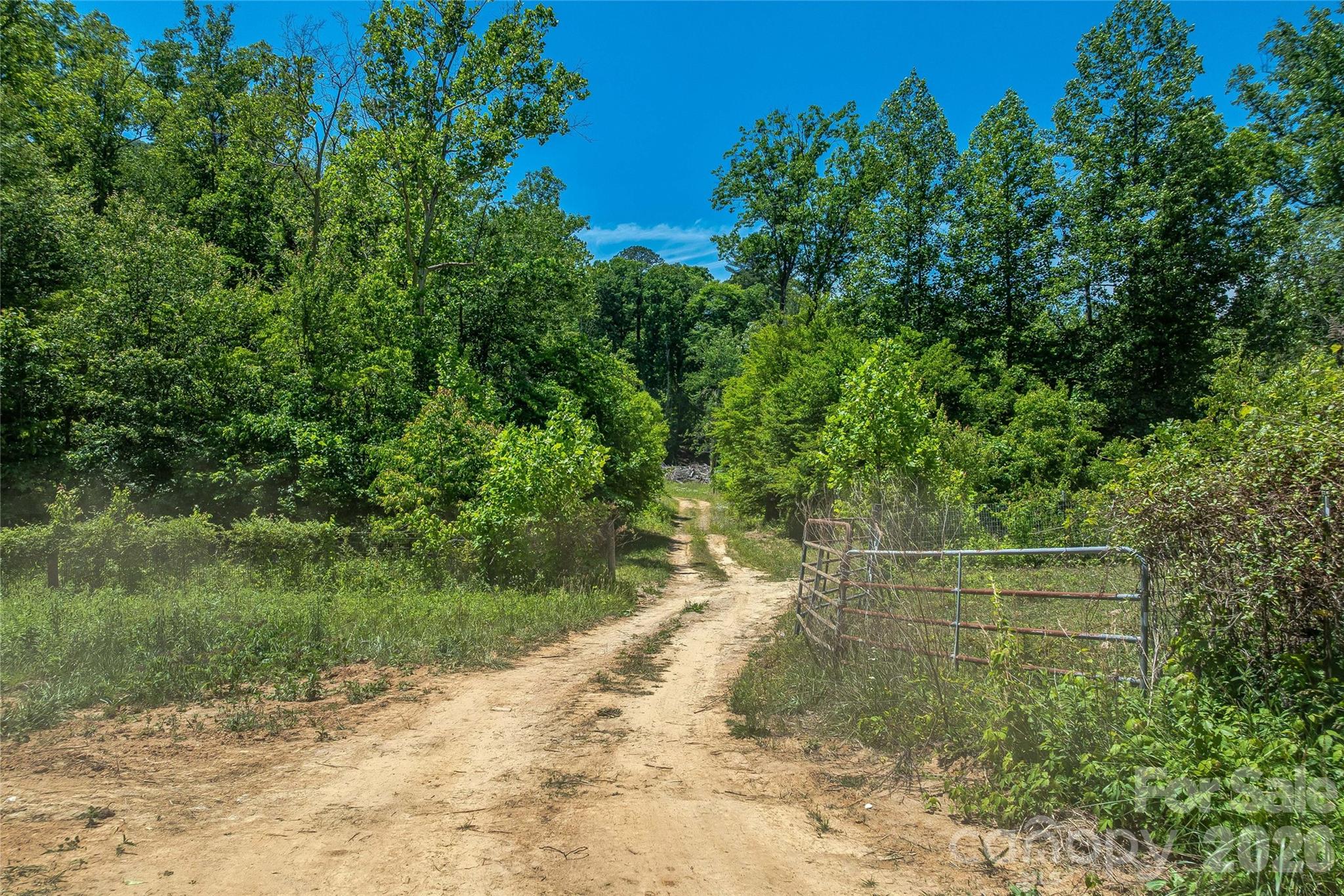 180 Fat Wall Road Marion, NC 28752 - Photo 12 of 32 a view of a pathway both side of yard