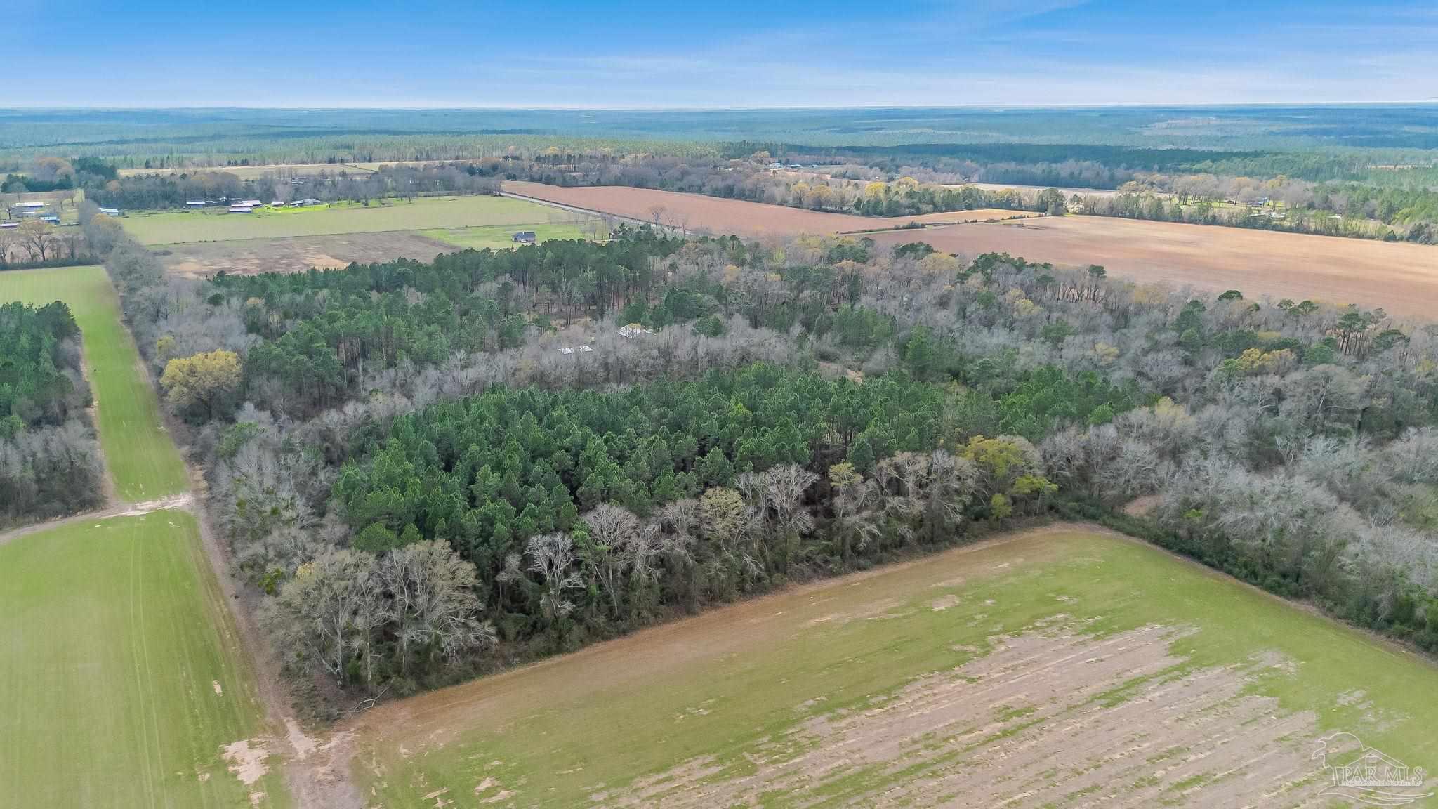 7900 Enon School Road McDavid, FL 32568 - Photo 13 of 27 a view of a lake and outdoor space