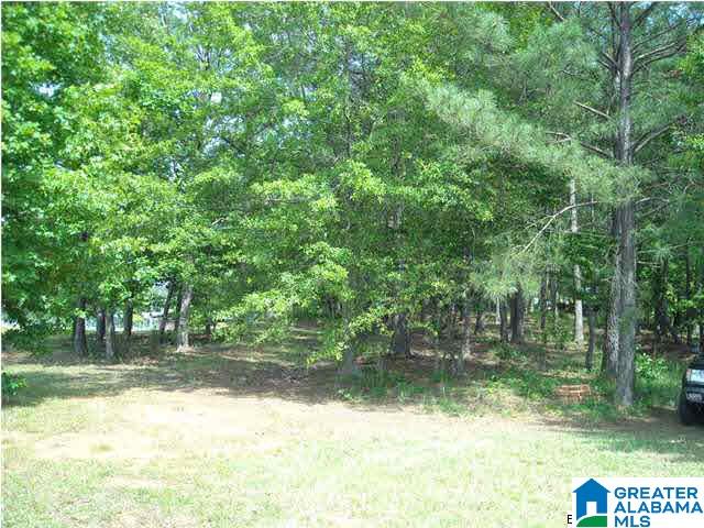 Crescent Crest Drive, Unit 27 Wedowee, AL 36278 - Photo 9 of 9
