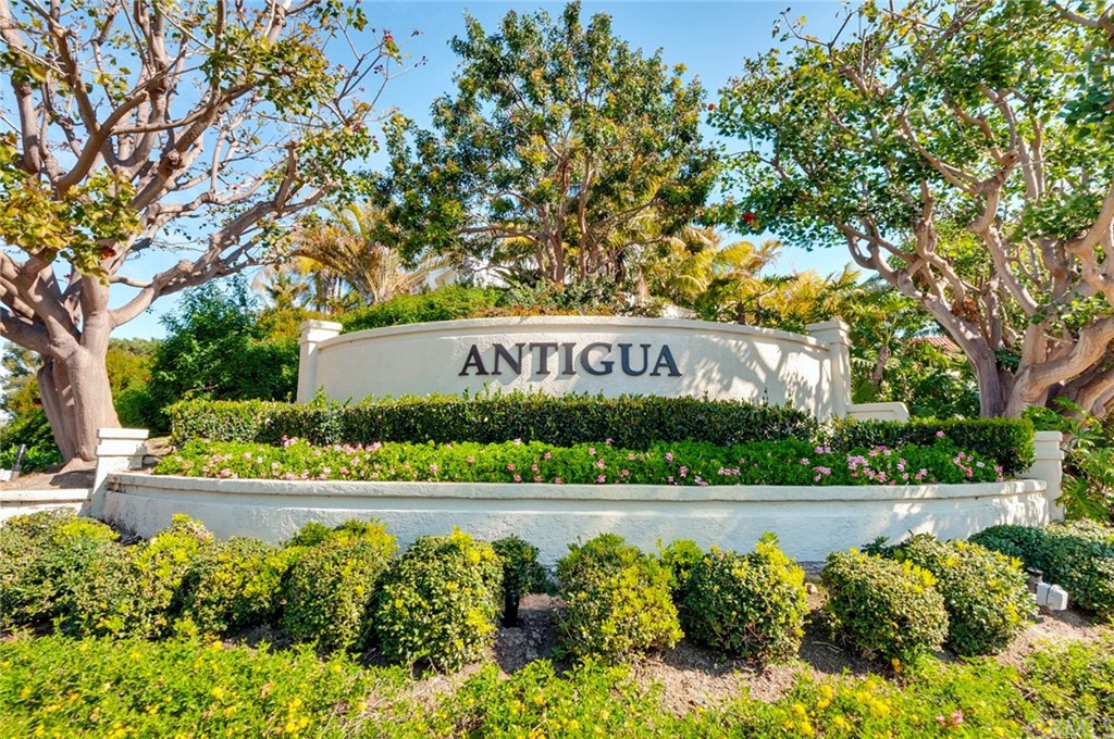 33 Antigua Dana Point, CA 92629 - Photo 4 of 39