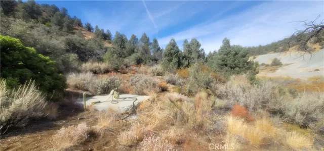 a view of a yard with a tree