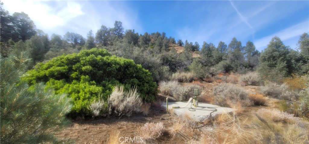 32897 Seymour Canyon Road Frazier Park, CA 93225 - Photo 2 of 10