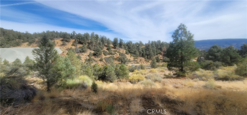 32897 Seymour Canyon Road Frazier Park, CA 93225 - Photo 4 of 10