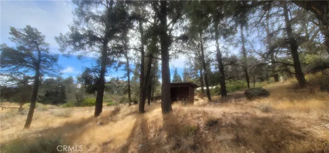 a view of river covered with trees