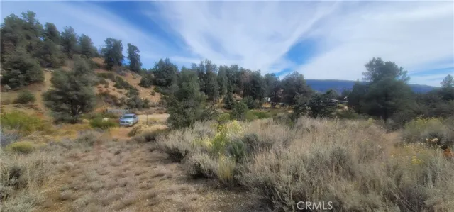 a view of a city with lush green forest