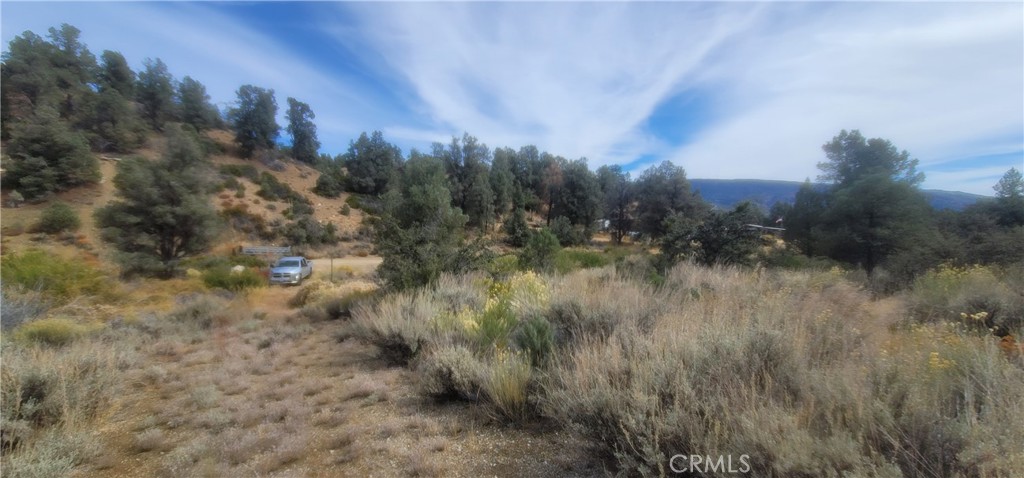 32897 Seymour Canyon Road Frazier Park, CA 93225 - Photo 8 of 10
