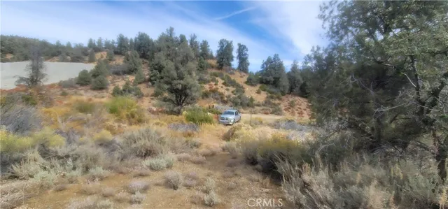 a view of a yard in a lake