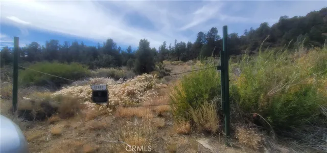 a view of a yard from a balcony