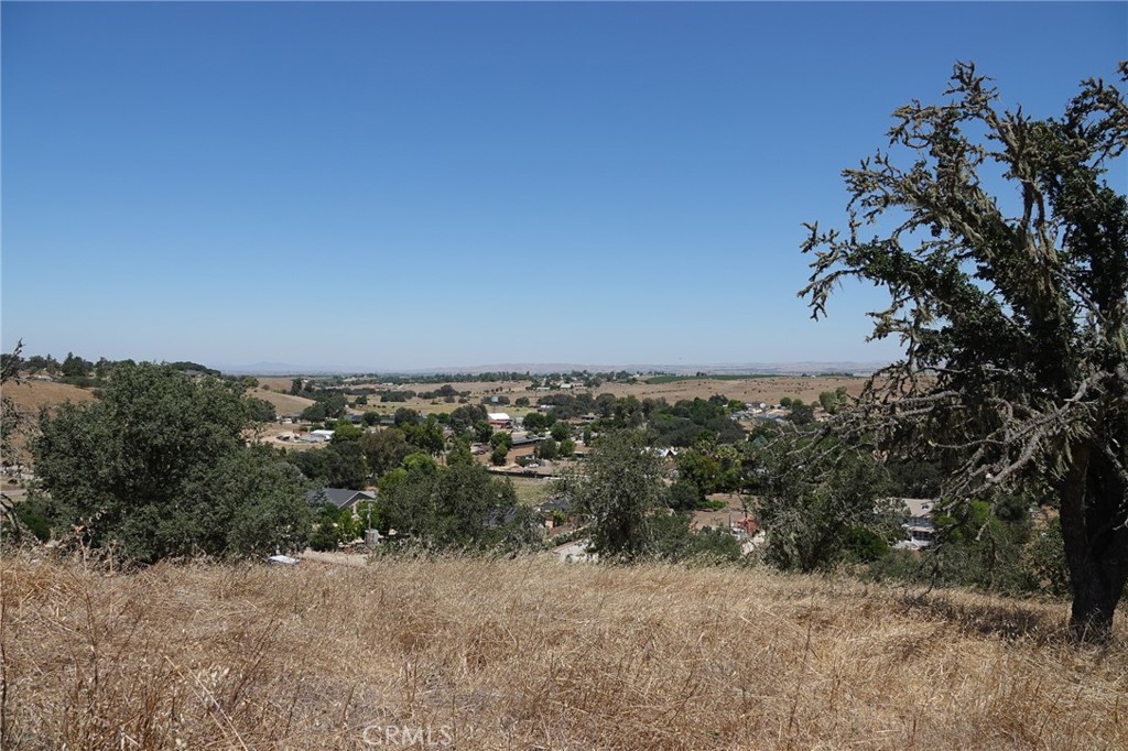 7950 Blue Moon Road Paso Robles, CA 93446 - Photo 24 of 26 Hilltop view