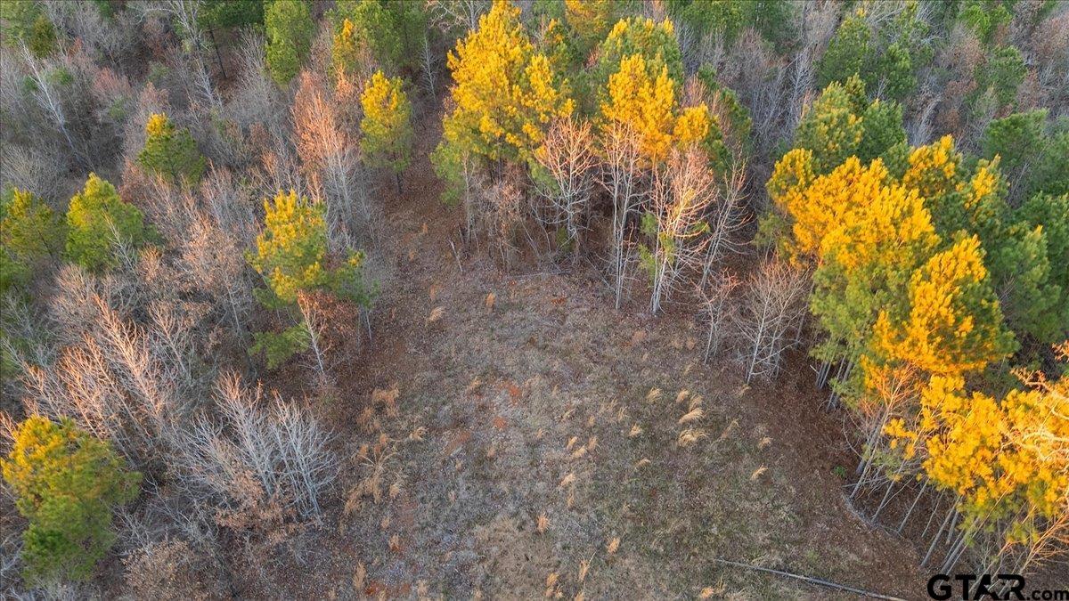 16935 Ridgeline Loop Winona, TX 75792 - Photo 11 of 15
