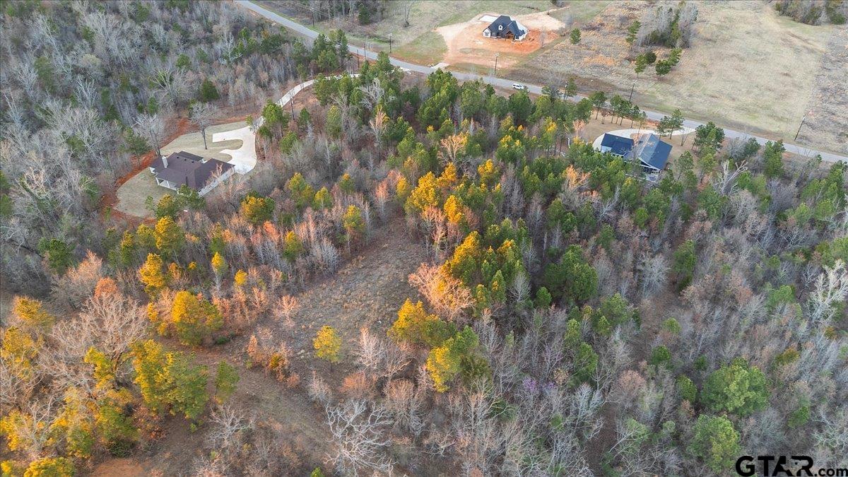 16935 Ridgeline Loop Winona, TX 75792 - Photo 12 of 15