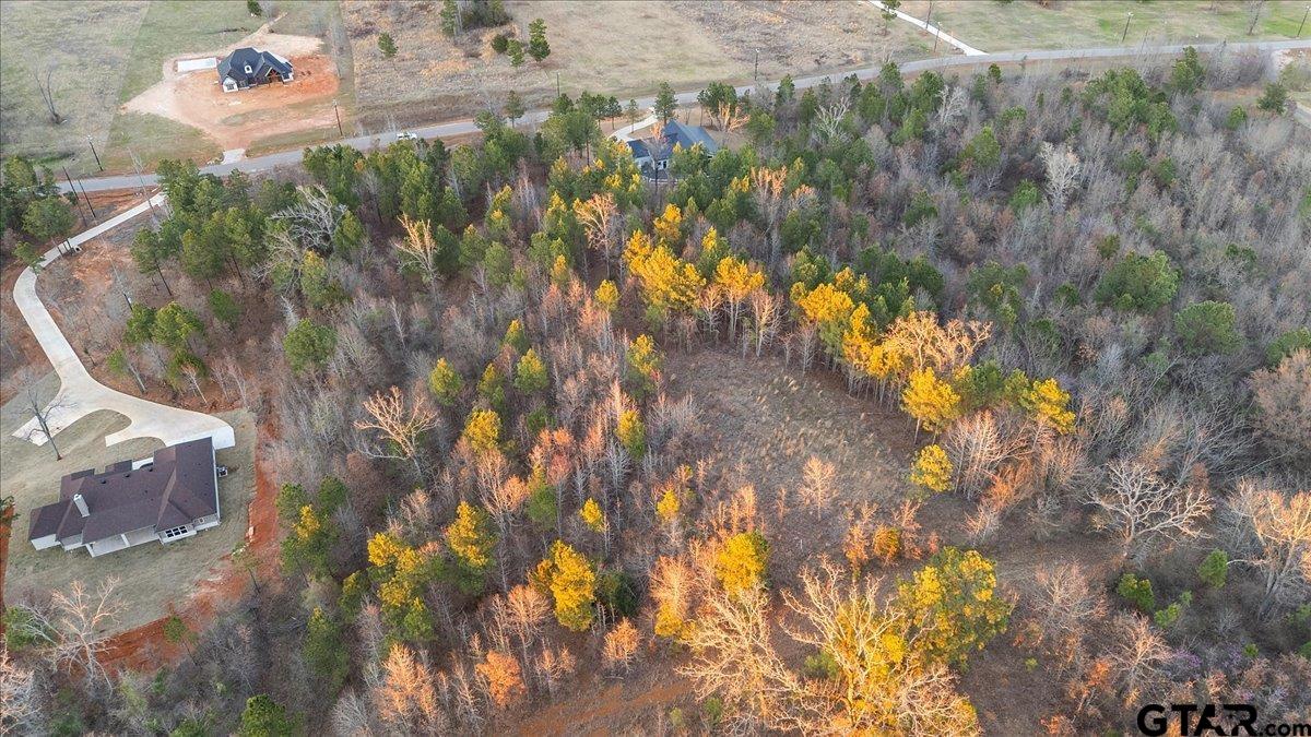 16935 Ridgeline Loop Winona, TX 75792 - Photo 13 of 15