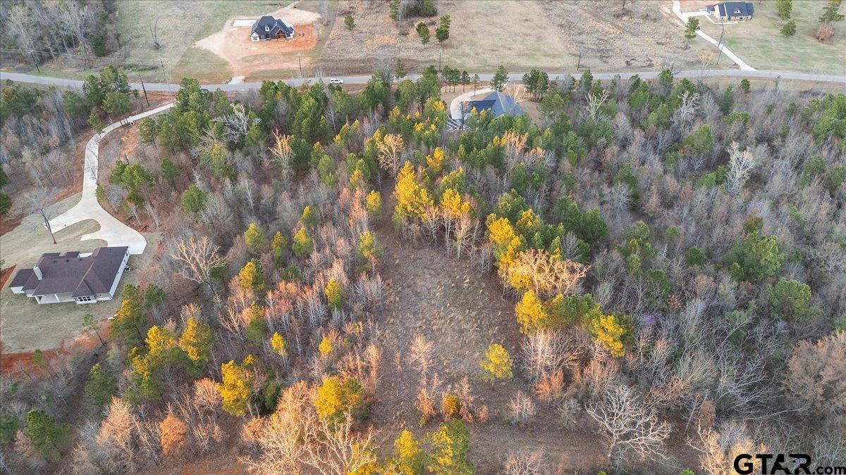 16935 Ridgeline Loop Winona, TX 75792 - Photo 14 of 15