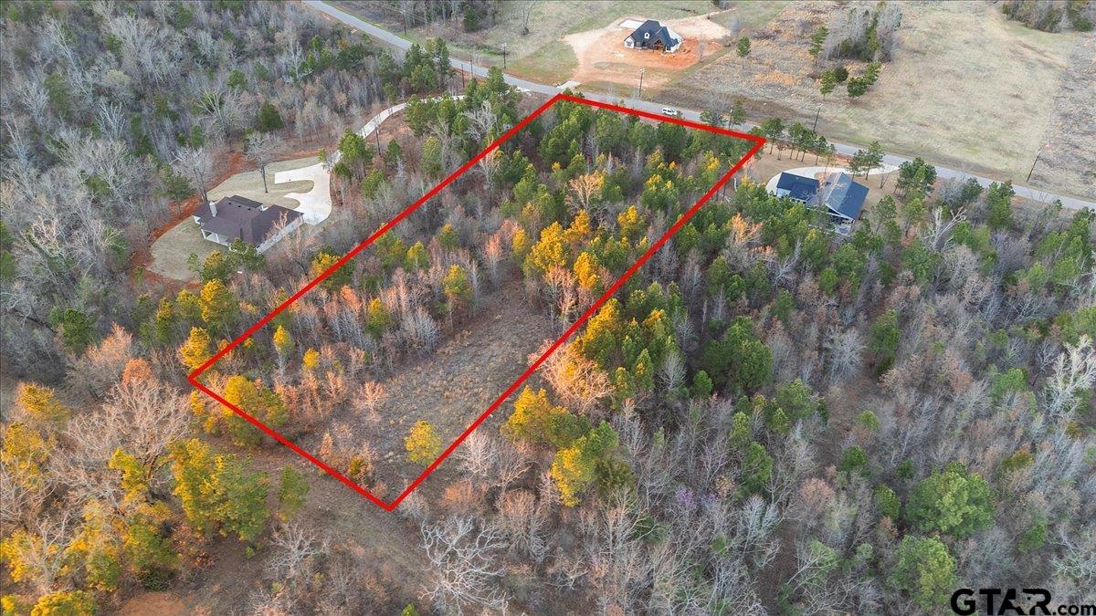 16935 Ridgeline Loop Winona, TX 75792 - Photo 2 of 15