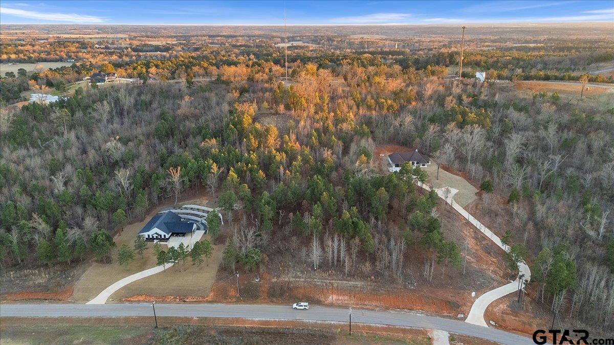 16935 Ridgeline Loop Winona, TX 75792 - Photo 3 of 15