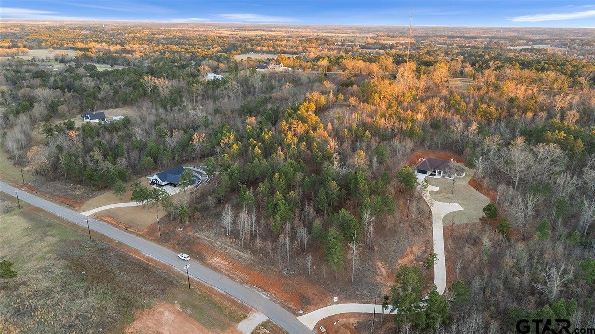 16935 Ridgeline Loop Winona, TX 75792 - Photo 8 of 15