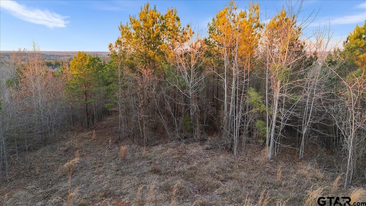 16935 Ridgeline Loop Winona, TX 75792 - Photo 9 of 15
