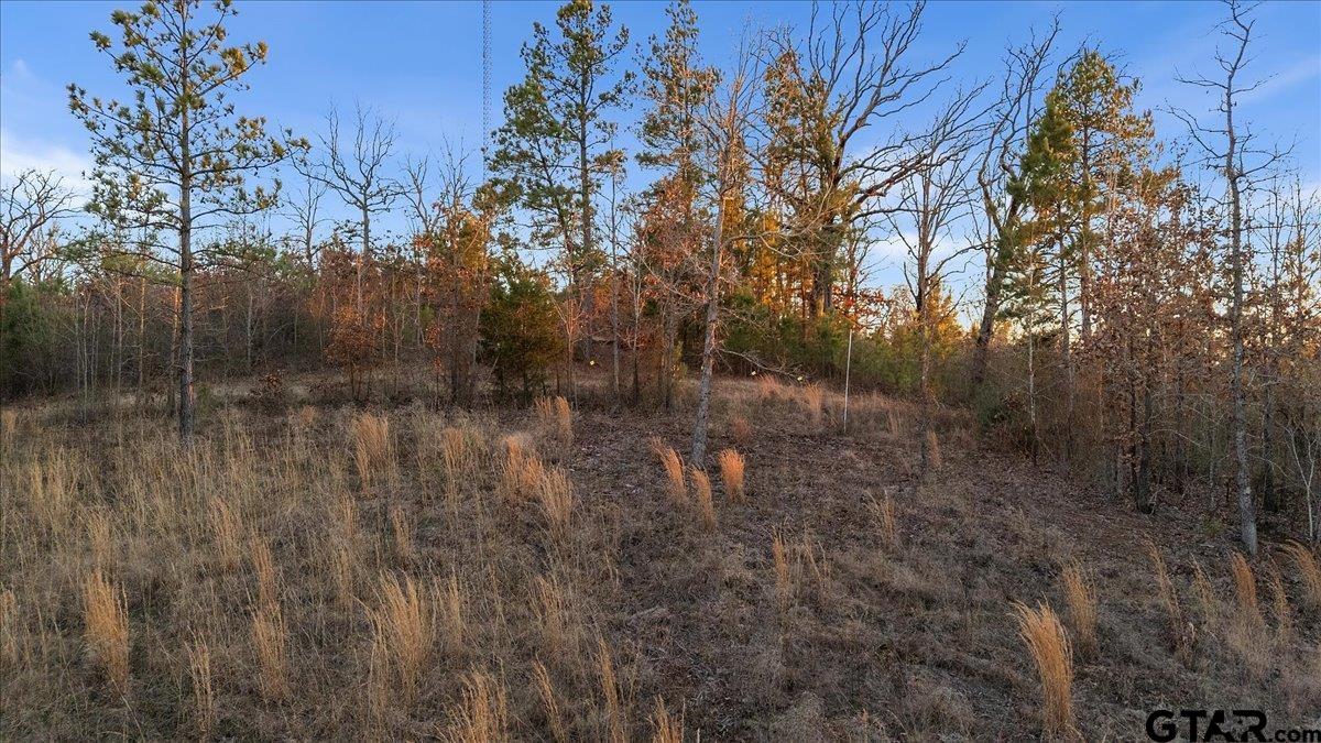 16935 Ridgeline Loop Winona, TX 75792 - Photo 10 of 15