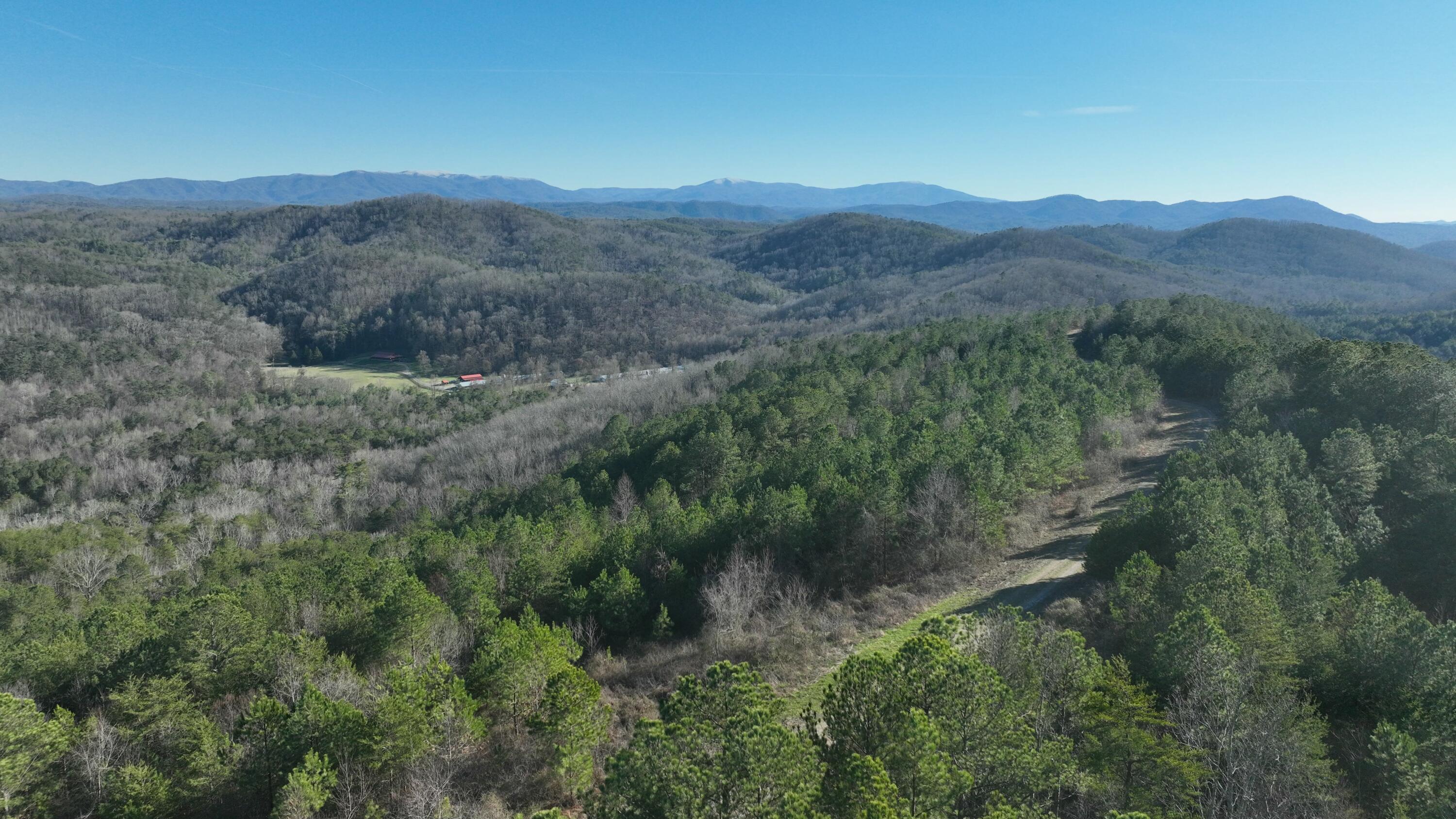 0 Sand Mountain Road Old Fort, TN 37362 - Photo 11 of 27 tempImageM6tArd