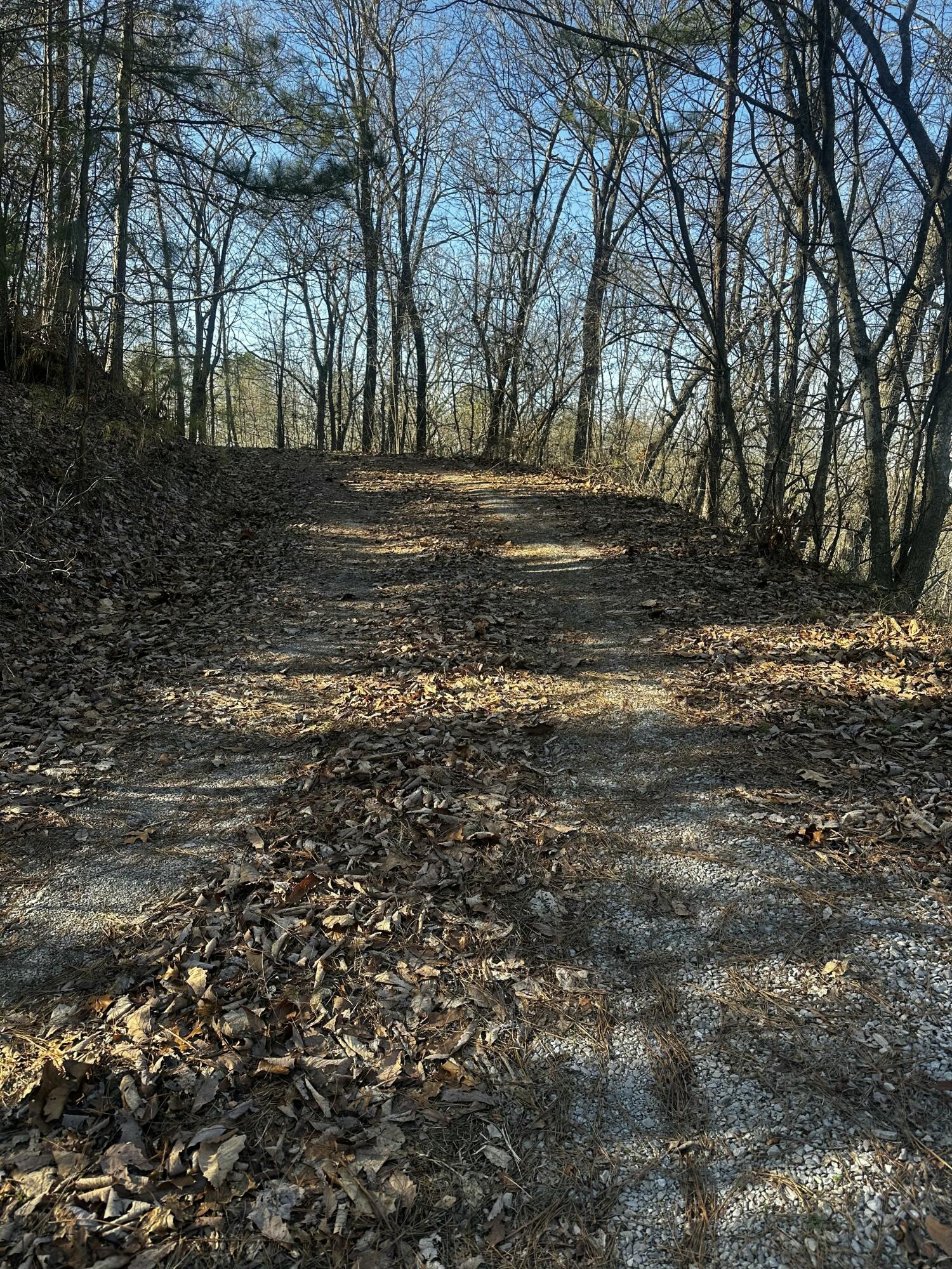 0 Sand Mountain Road Old Fort, TN 37362 - Photo 12 of 27 tempImagep74mnx