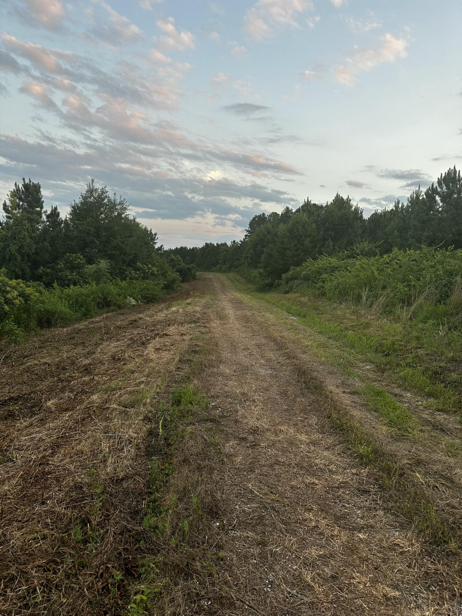 0 Sand Mountain Road Old Fort, TN 37362 - Photo 19 of 27 tempImageDLab8w