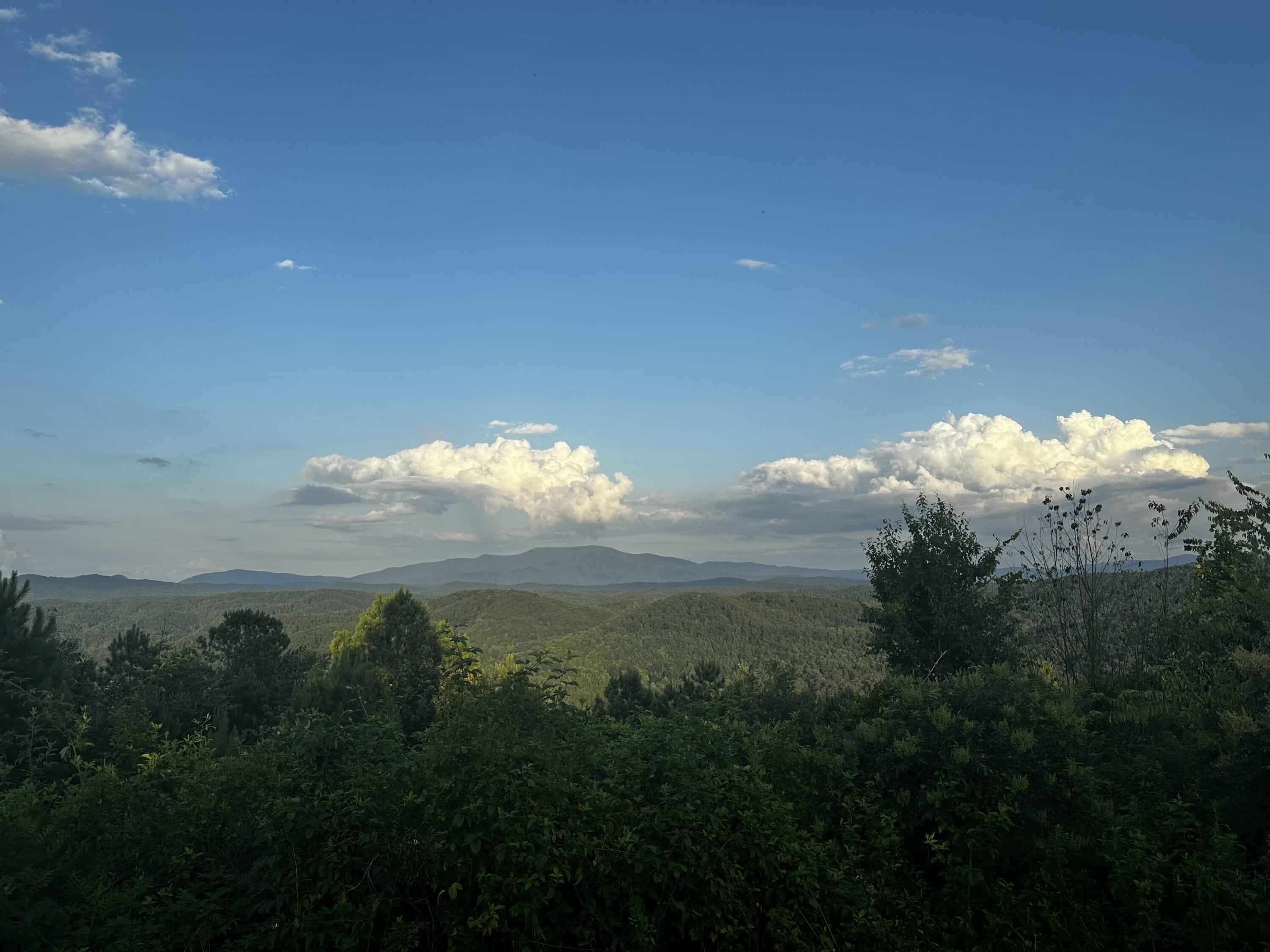 0 Sand Mountain Road Old Fort, TN 37362 - Photo 22 of 27 tempImagei1aZa2