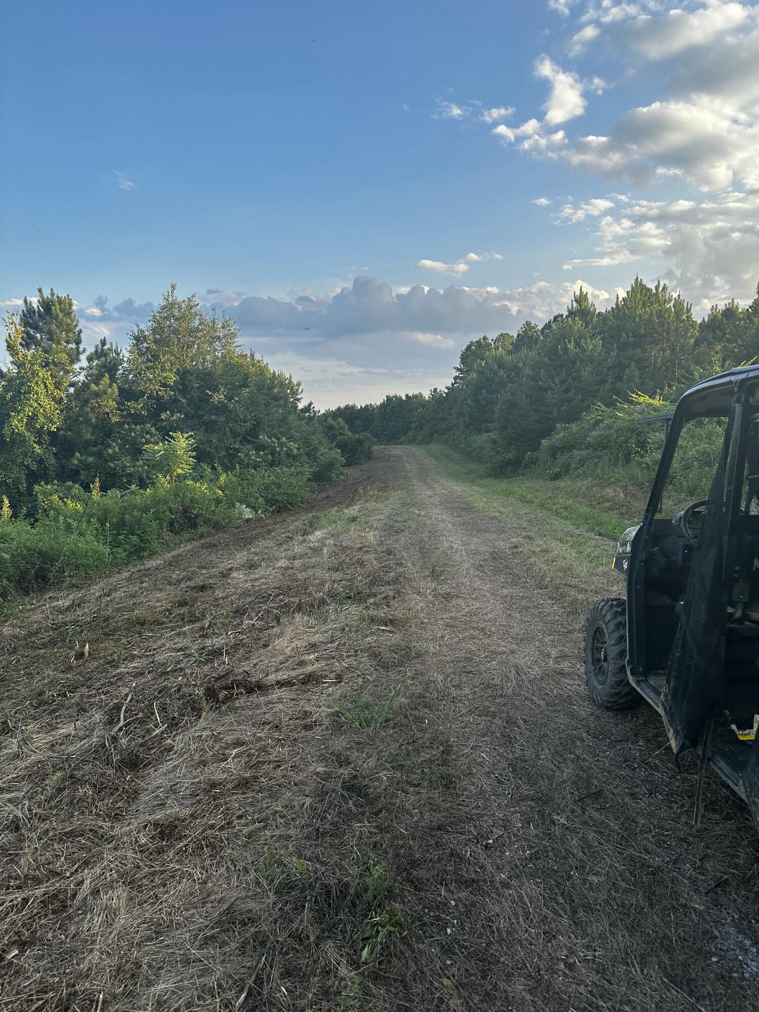 0 Sand Mountain Road Old Fort, TN 37362 - Photo 23 of 27 tempImagec8HiHq