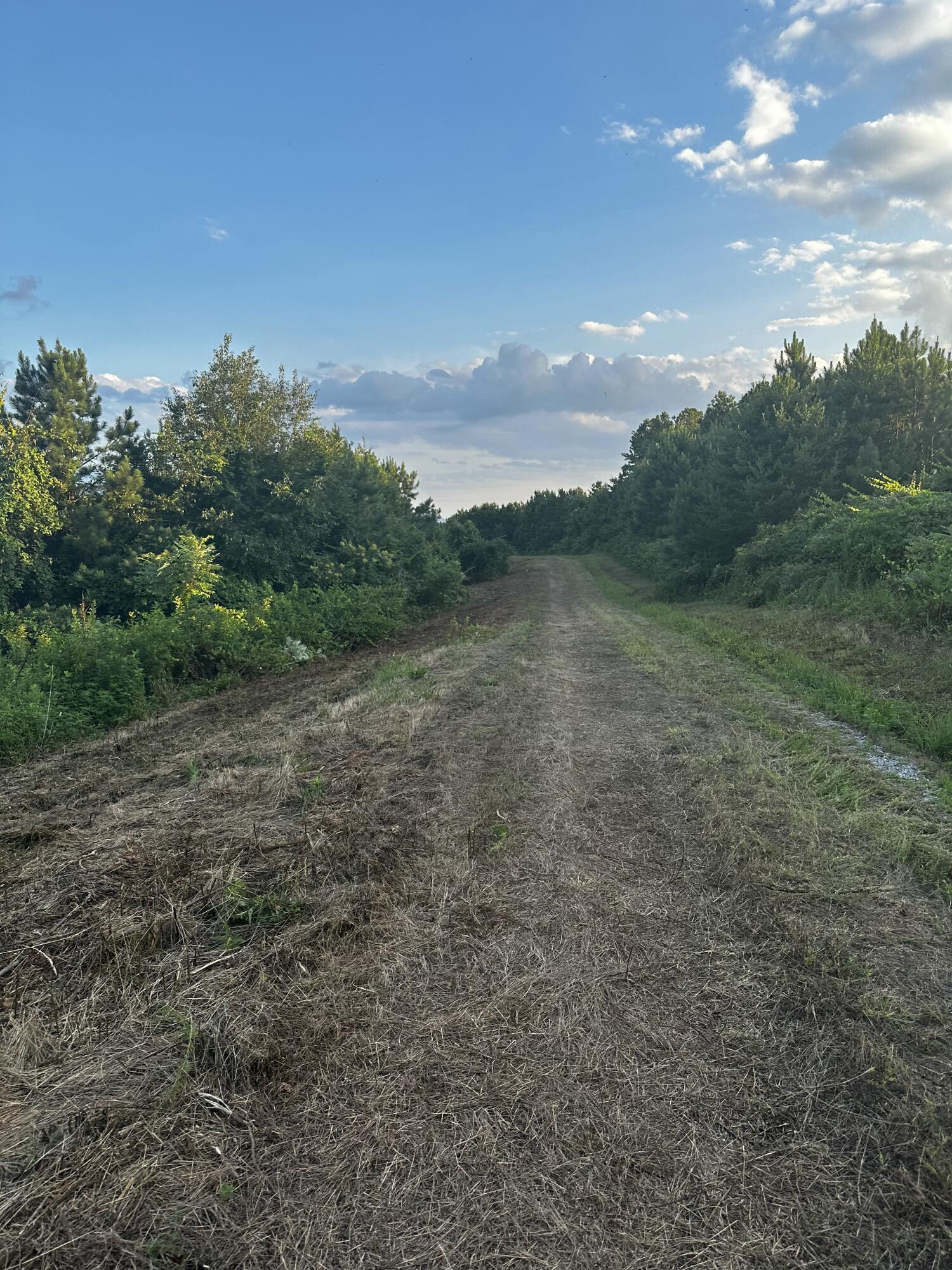 0 Sand Mountain Road Old Fort, TN 37362 - Photo 24 of 27 tempImageZ9WnMO