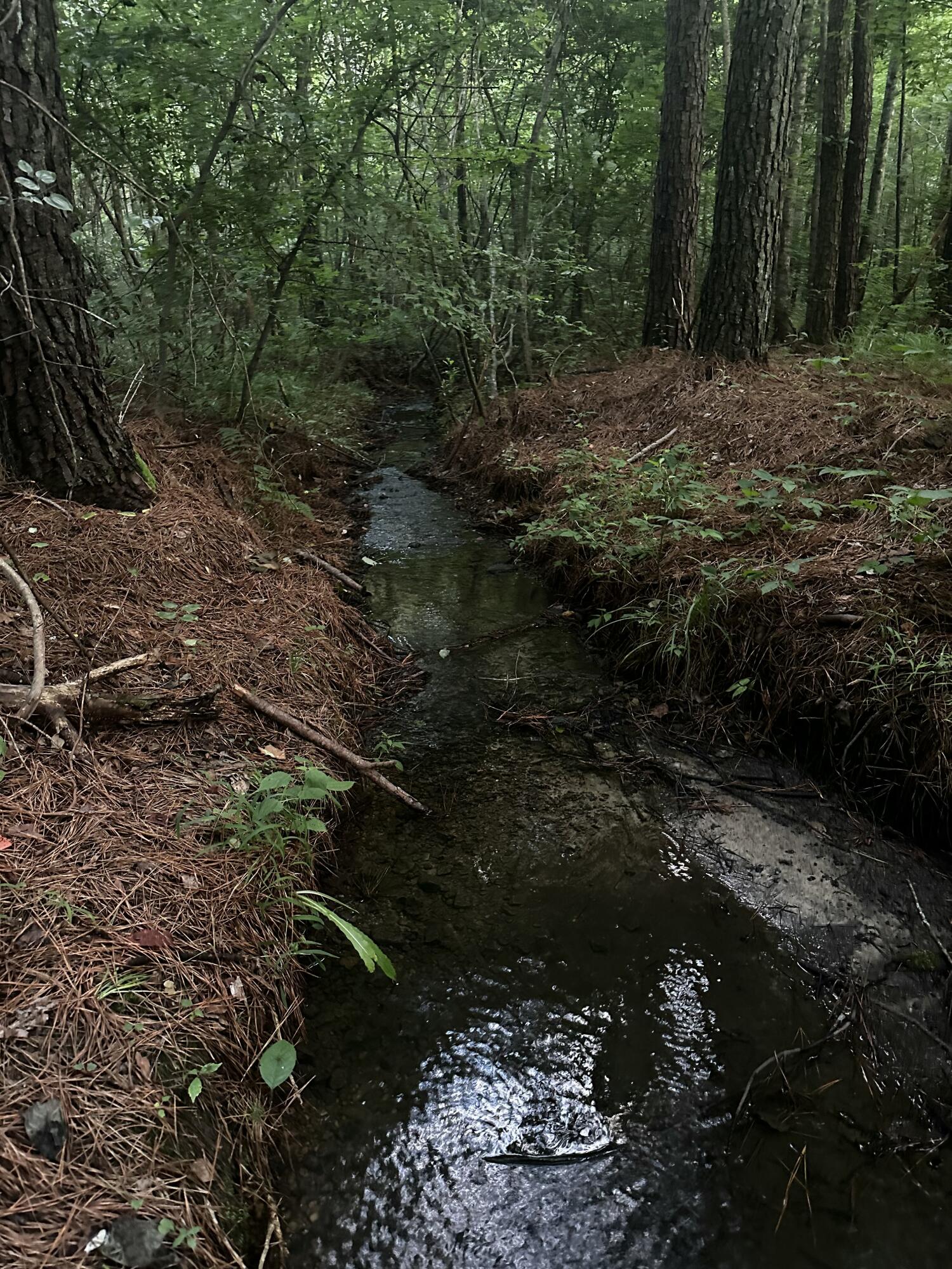 0 Sand Mountain Road Old Fort, TN 37362 - Photo 25 of 27 tempImagebuHqZ2