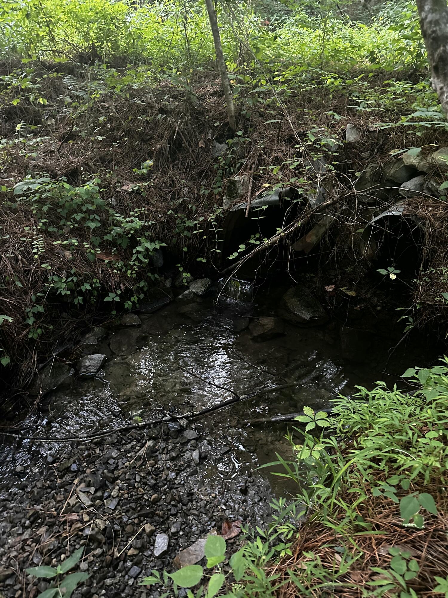 0 Sand Mountain Road Old Fort, TN 37362 - Photo 26 of 27 tempImageH570ie