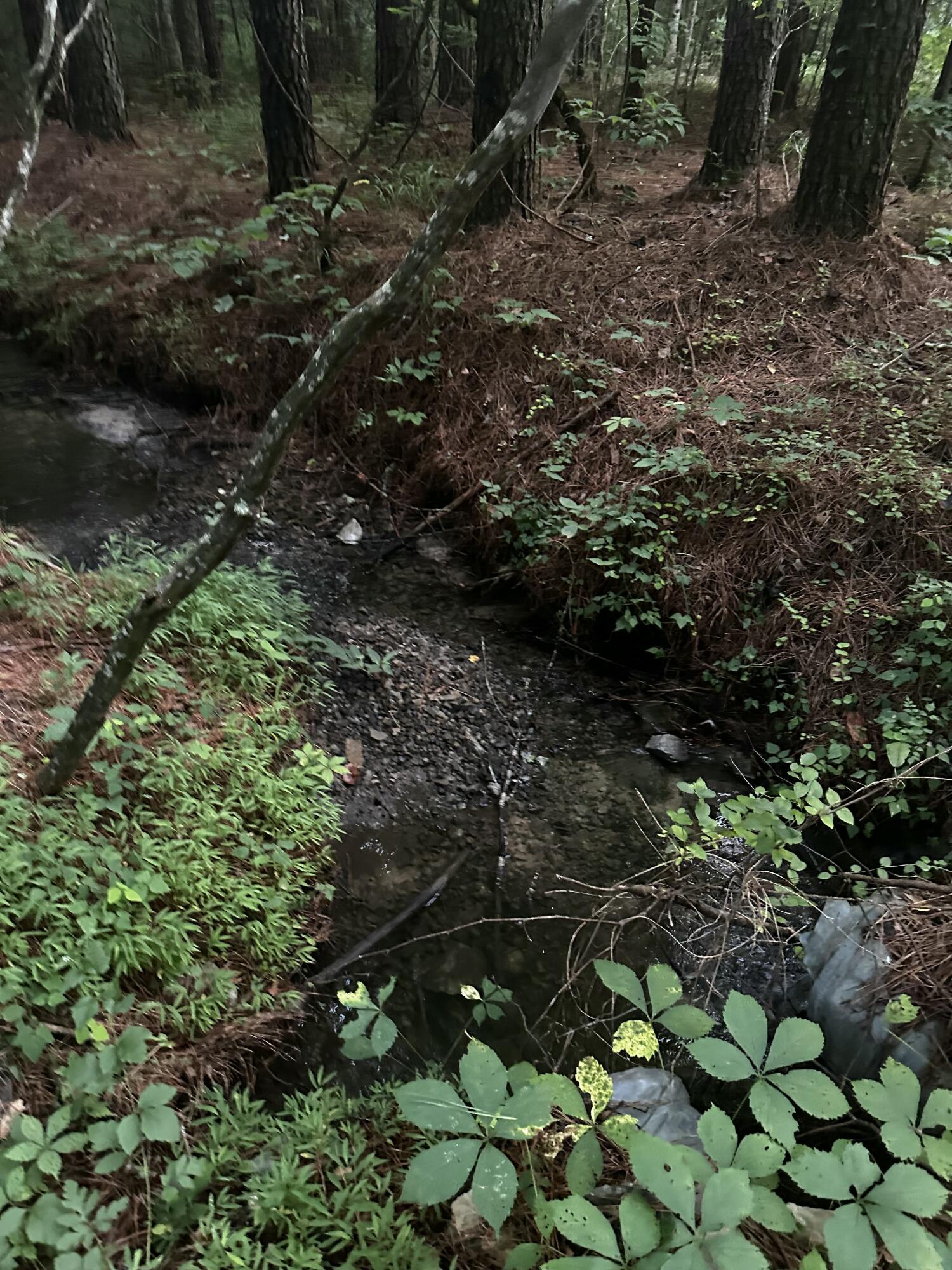 0 Sand Mountain Road Old Fort, TN 37362 - Photo 27 of 27 tempImageDo1pz7