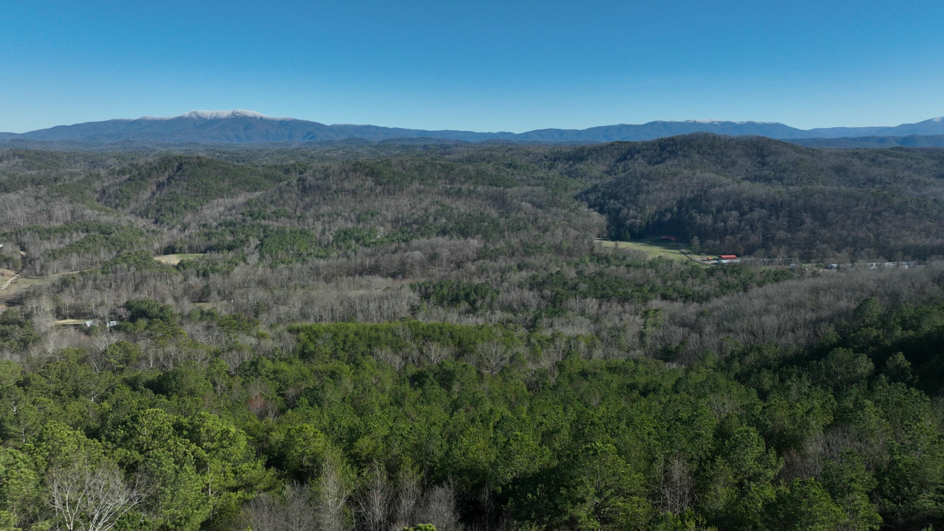 0 Sand Mountain Road Old Fort, TN 37362 - Photo 3 of 27 tempImageKOuUSx