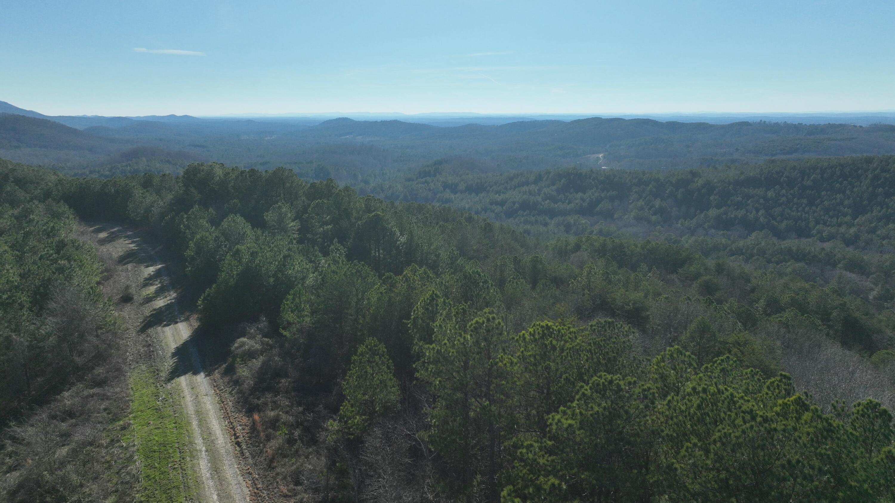 0 Sand Mountain Road Old Fort, TN 37362 - Photo 4 of 27 tempImageMUn6qT