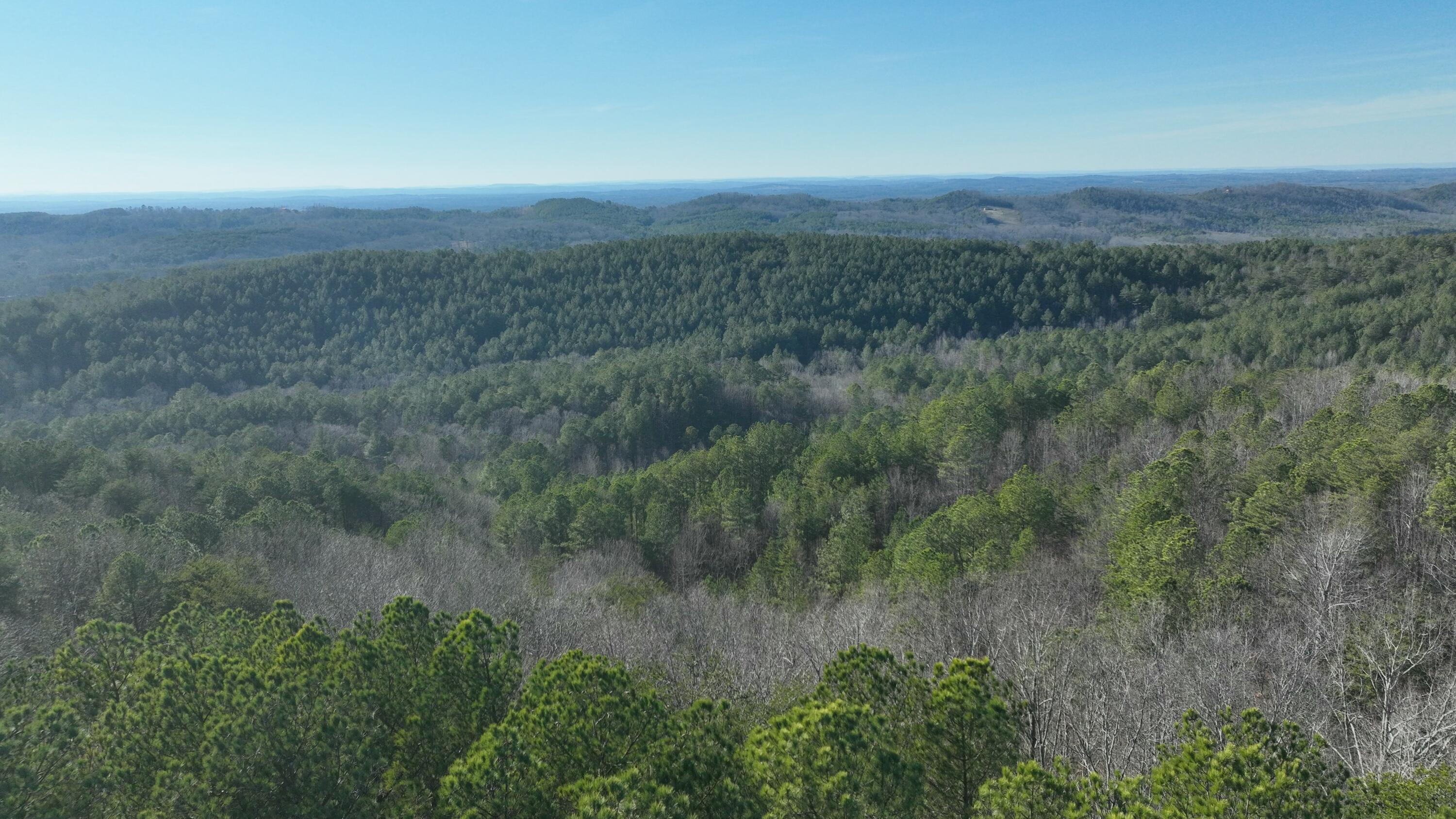 0 Sand Mountain Road Old Fort, TN 37362 - Photo 5 of 27 tempImages2gpaa