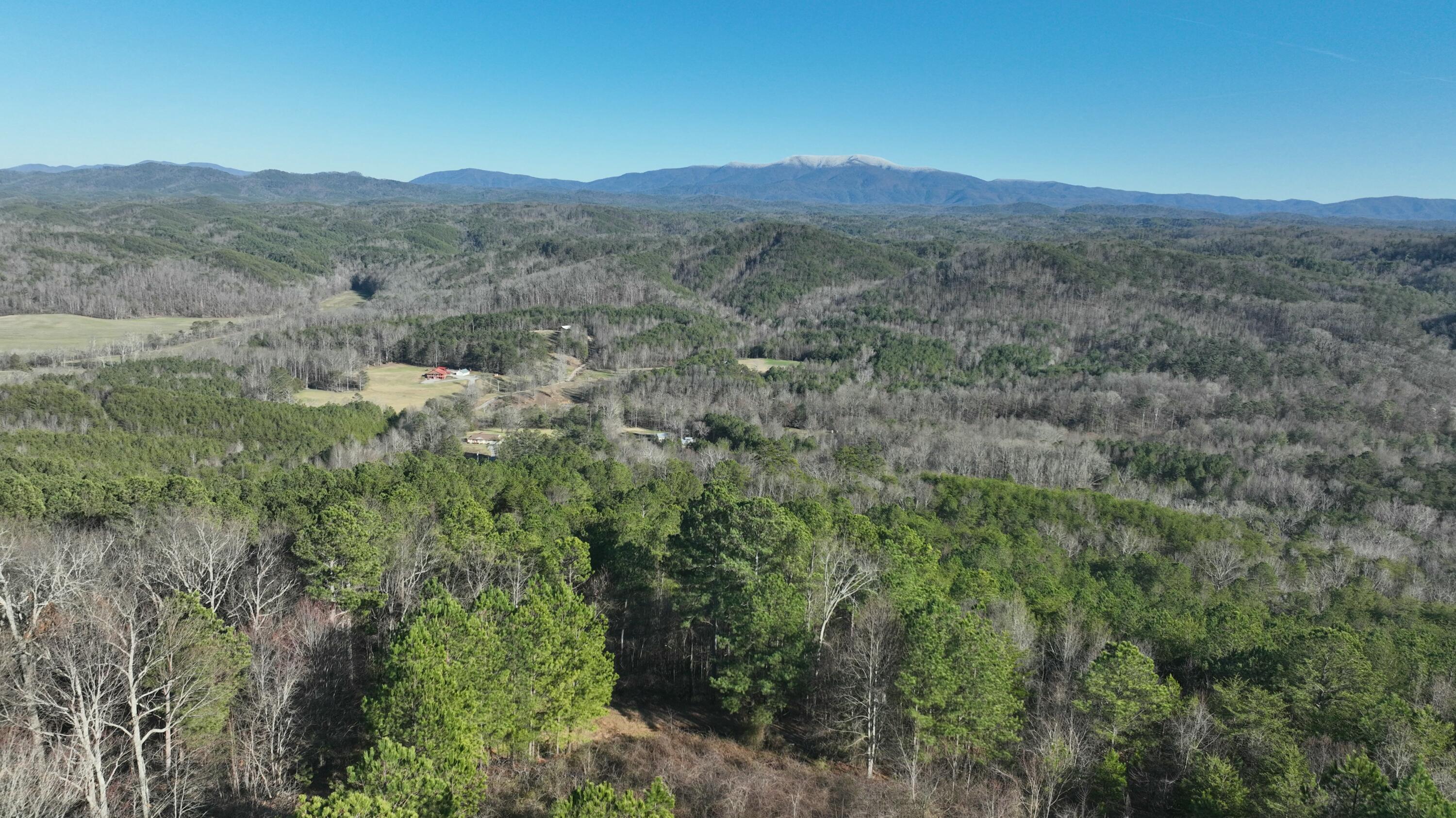 0 Sand Mountain Road Old Fort, TN 37362 - Photo 7 of 27 tempImageQzwpZ1