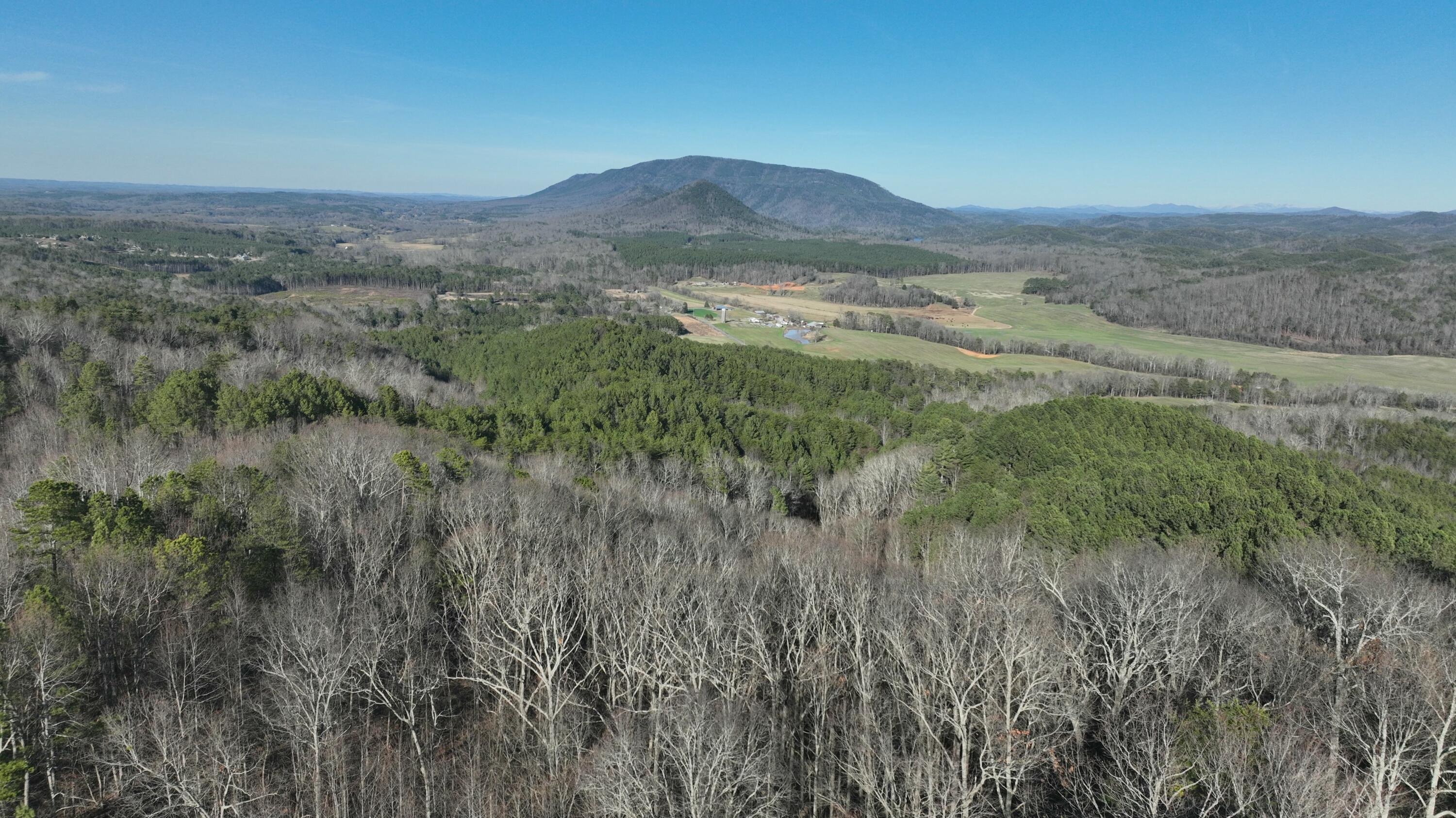 0 Sand Mountain Road Old Fort, TN 37362 - Photo 8 of 27 tempImageRpvzqD