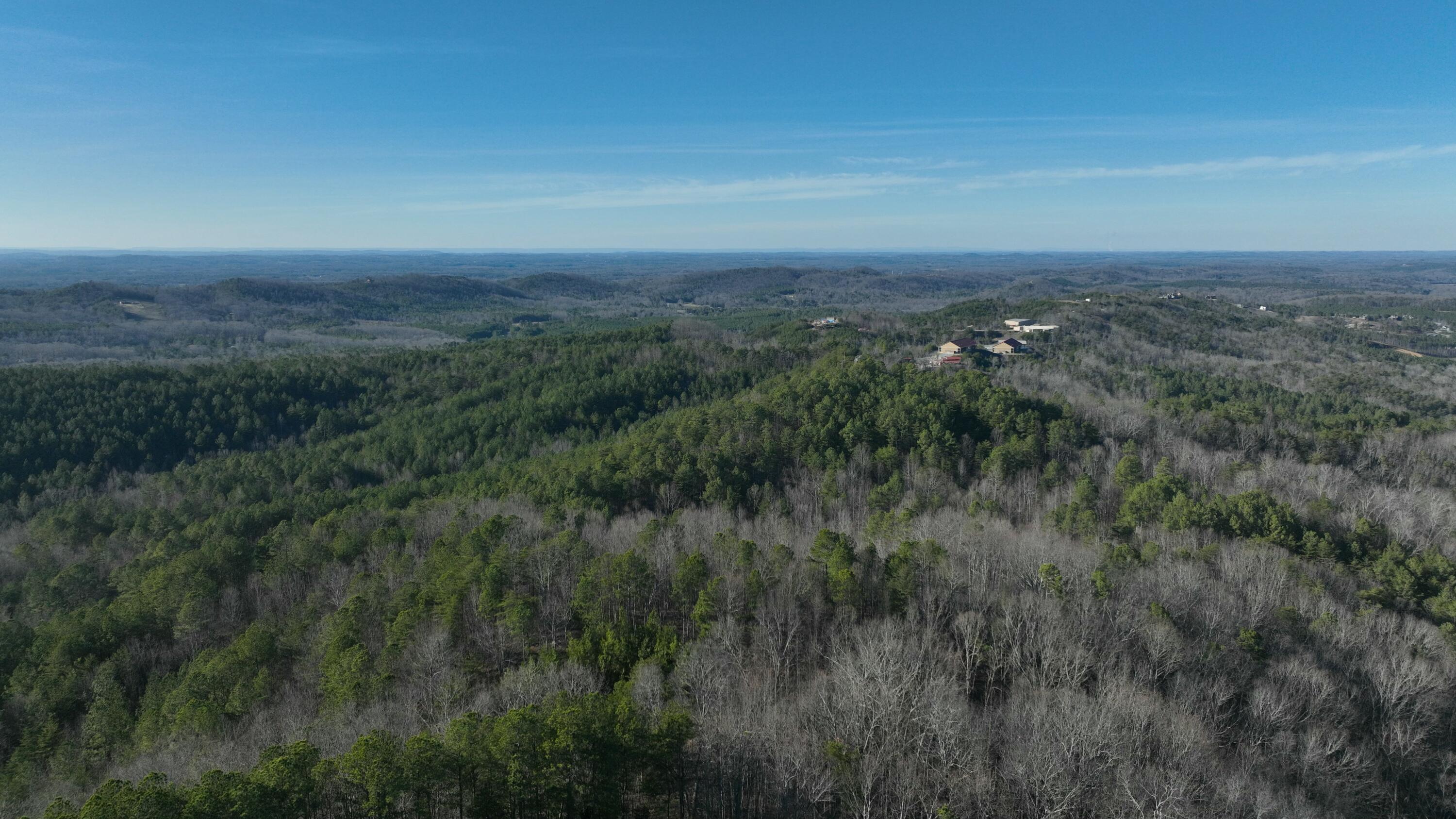 0 Sand Mountain Road Old Fort, TN 37362 - Photo 9 of 27 tempImage8dNIDd