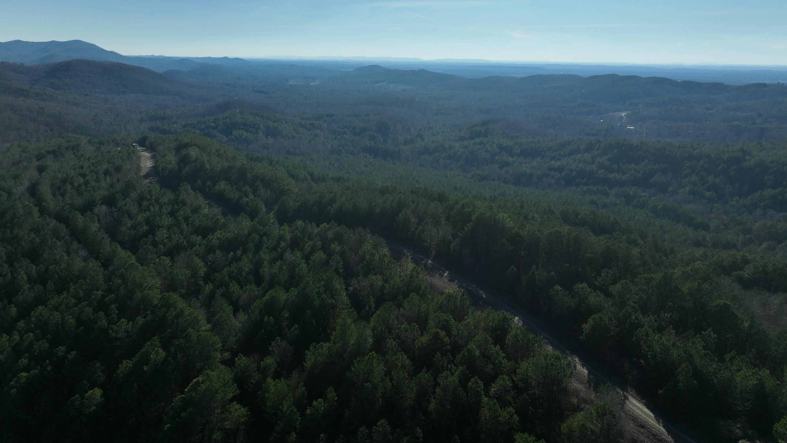 0 Sand Mountain Road Old Fort, TN 37362 - Photo 10 of 27 tempImageQMoOxI