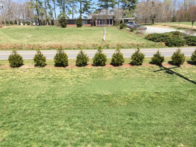 1400 Chesnee Road Columbus, NC 28722 - Photo 21 of 25 Gallery Image 21