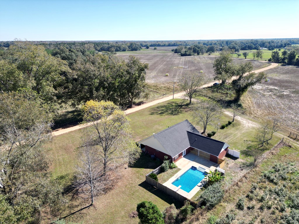 870 Wayne Road Cottonwood, AL 36320 - Photo 14 of 74
