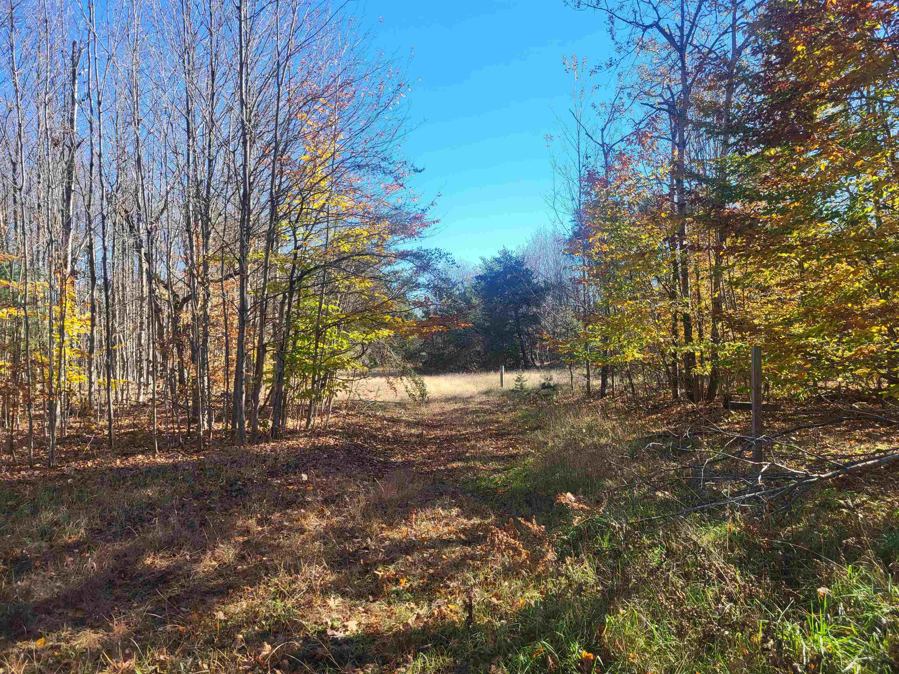 0 South Weldon Road Beulah, MI 49617 - Photo 35 of 37